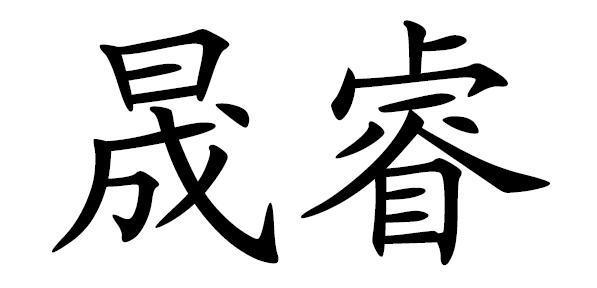 晟睿阮晟教育 以智慧之光，点亮成长之路